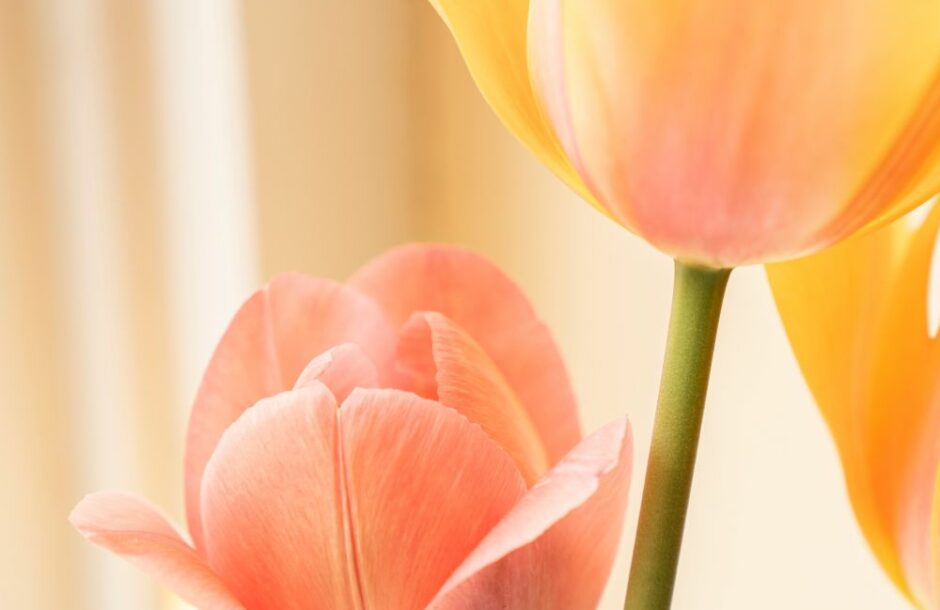 Horoskop za 12. maj 2024. godine