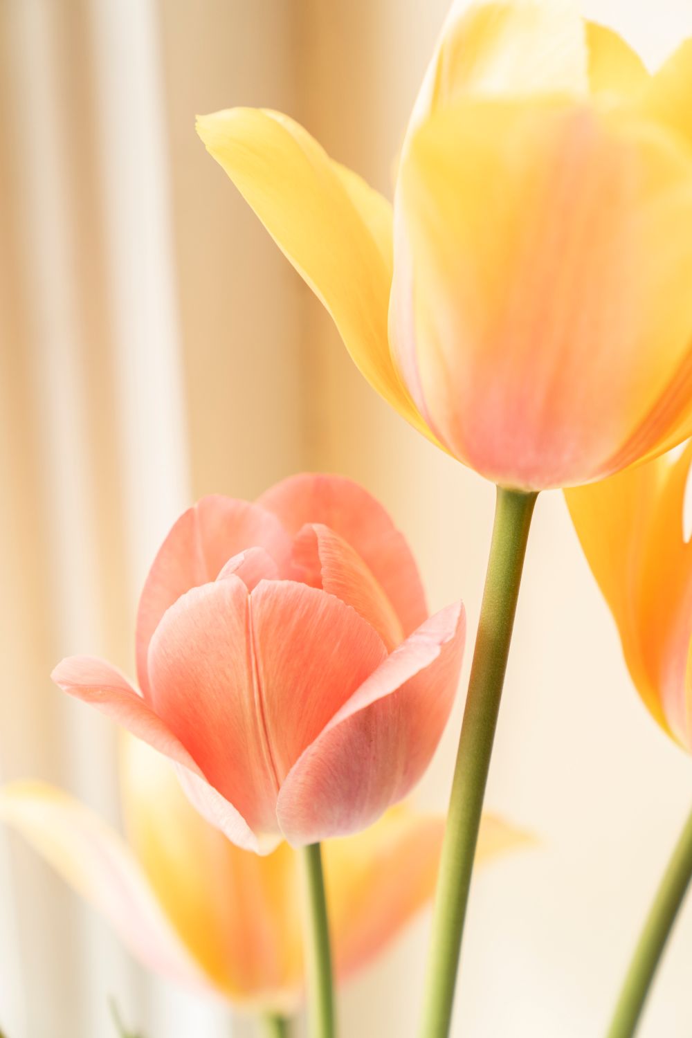 Horoskop za 12. maj 2024. godine