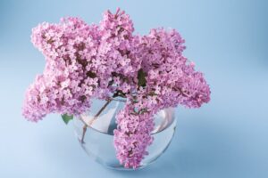 Mesečni horoskop za maj 2024. godine