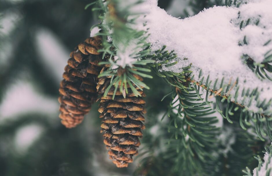 Horoskop za 23. januar 2024. godine