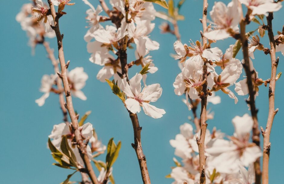 Horoskop za 6. maj 2024. godine