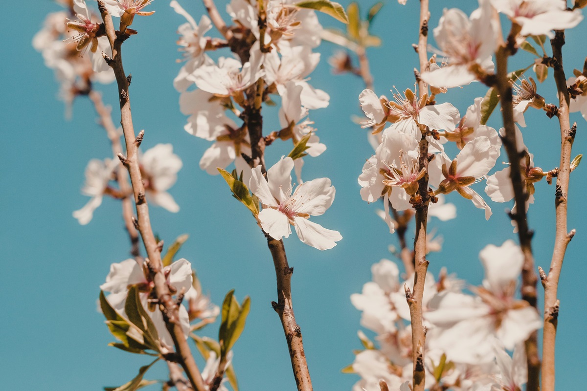 Horoskop za 6. maj 2024. godine