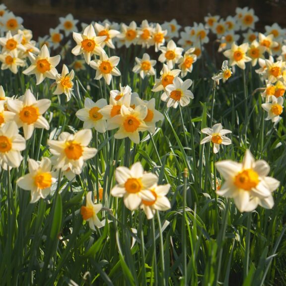 Horoskop za 14. maj 2024. godine