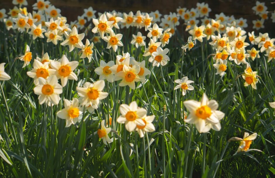 Horoskop za 14. maj 2024. godine