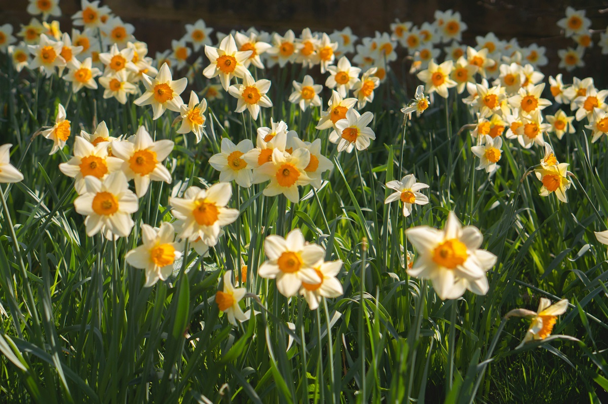 Horoskop za 14. maj 2024. godine